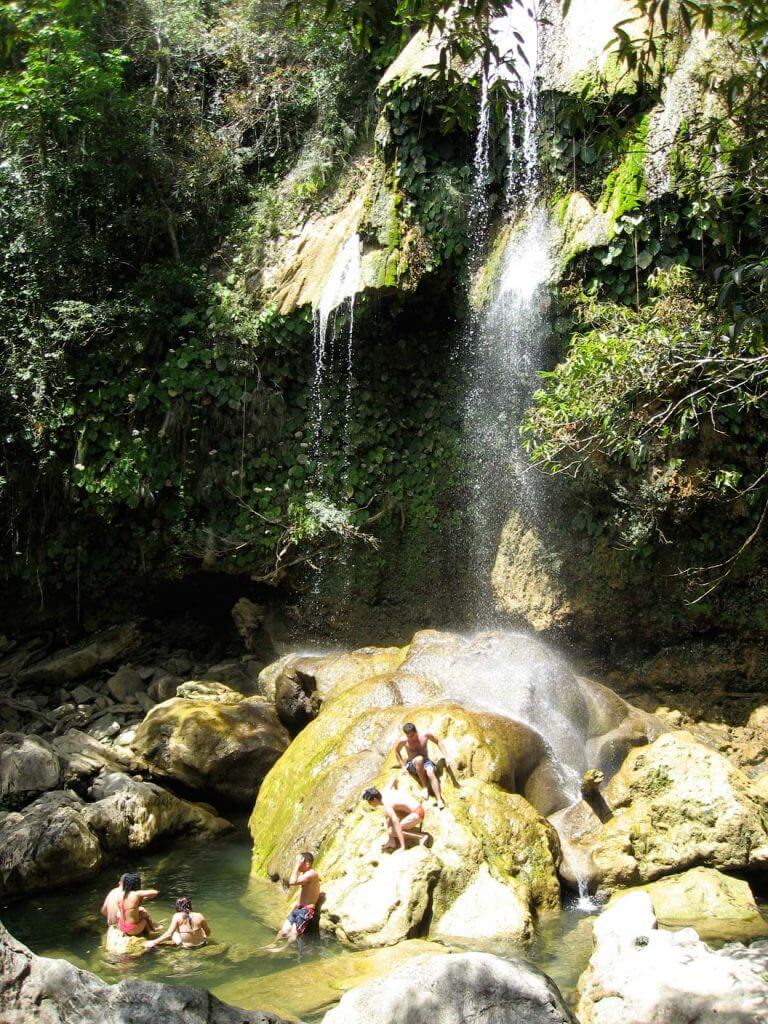 La réserve de biosphère de la Sierra del Rosario