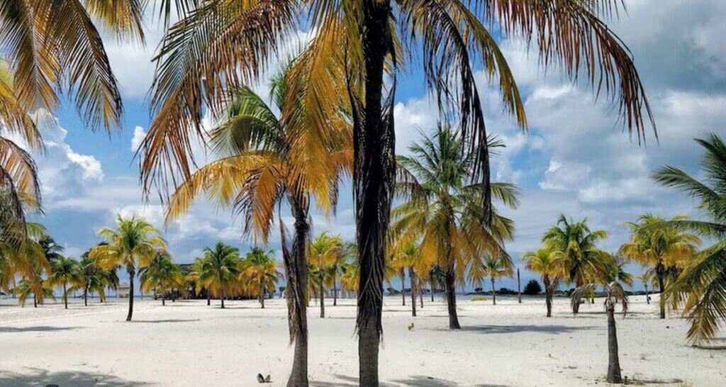 Plage de Cayo Largo Cuba